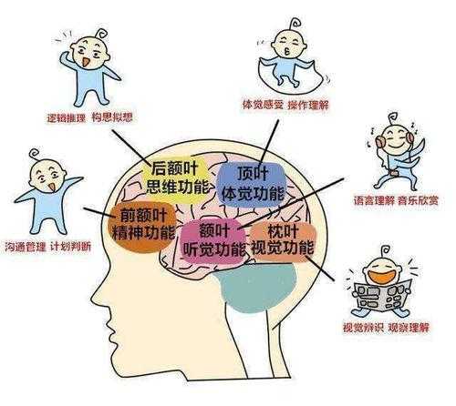 千算万算，语言发育迟缓还是发生了，没主动出