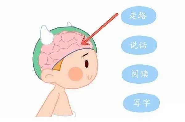 武汉中心：语言发育迟缓对儿童的全面影响，不仅仅是不开口
